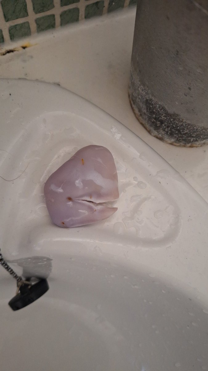 Anyone else's soap look like the head of a beluga today?
