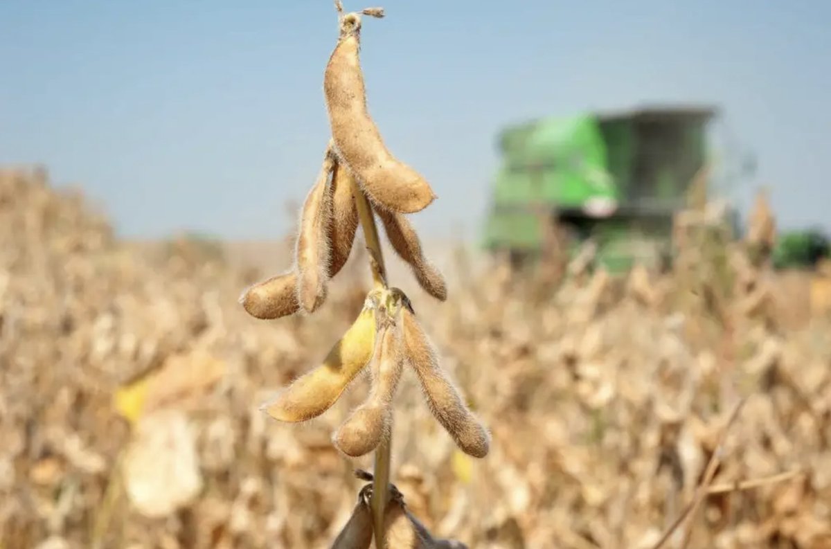 outdoorsmencom's tweet photo. Food is key for tagging a late-season whitetail. What food sources are you keying in on right now?🌽🦌
-
Join HuntPost Today 👉 https://t.co/fhxSuS9Rpc
-
-
#hunting #deerhunting #foodsource #lateseason #huntingseason #outdoorsmen #huntpost #conservation #huntinglife https://t.co/zoACdCo2df