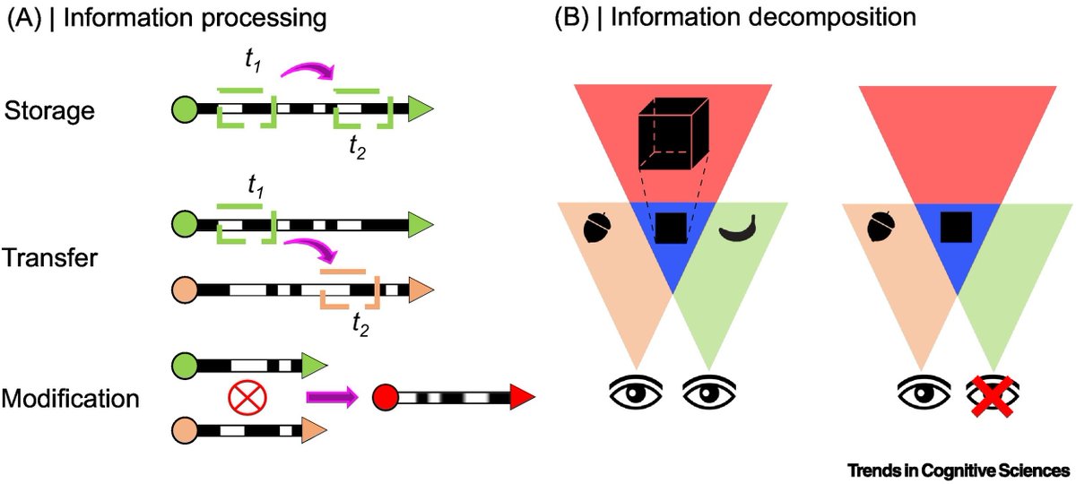 Information decomposition and the informational architecture of the brain Review by Andrea Luppi (@loopyluppi), Fernando Rosas (@_fernando_rosas), Pedro Mediano, David Menon (@Menon_Cambridge), & Emmanuel Stamatakis (@estamatakis) Open Access: rb.gy/zm81z6