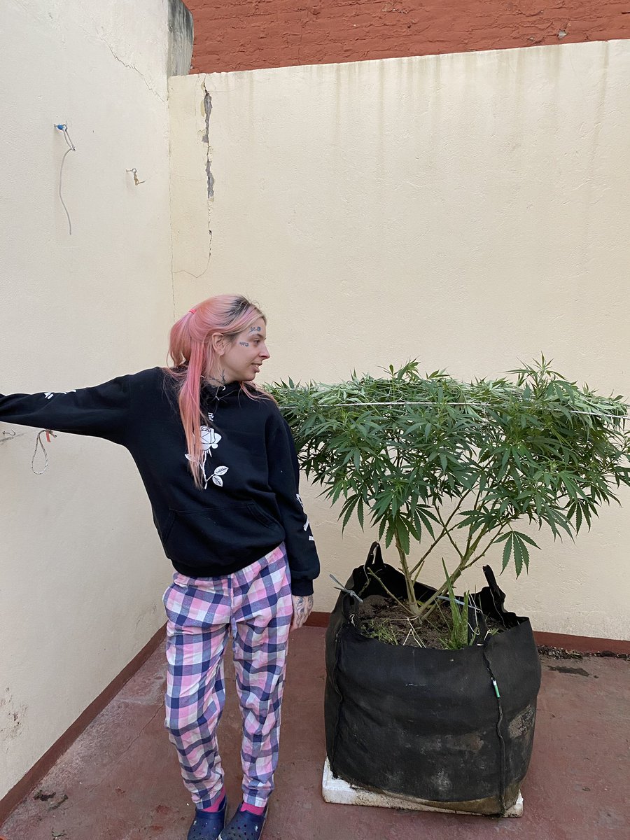 mairamarinn's tweet photo. Aunque la gente piense que nunca labure o que quiero que alguien me mantenga, la verdad es que me encantaría trabajar pero el problema es que en este país no existe el oficio que a mi me interesa y no es mi culpa que estemos atrasados como sociedad. De que sirve un sistema capitalista si cuando encontramos algo en lo que somos buenos no podemos capitalizarlo? Pienso