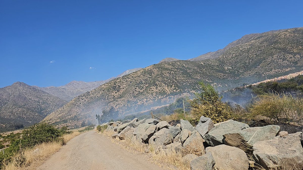 conaf_rm's tweet photo. Incendio forestal Puerta Roja #AltoMacul #LaFlorida
🟡CONTROLADO con puntos calientes dentro del area quemada, sin peligro de propagación.
Recursos desplegados➡️2 brigadas #CONAF y @brigadaflorida https://t.co/S9ntAMXHEw