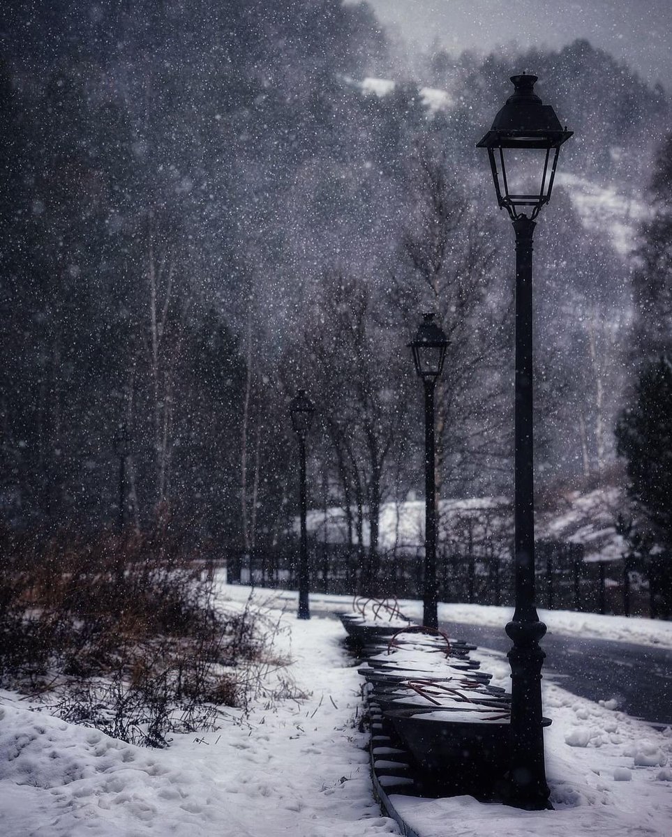 Jaume Domènech 🇦🇩🎗 tweet media