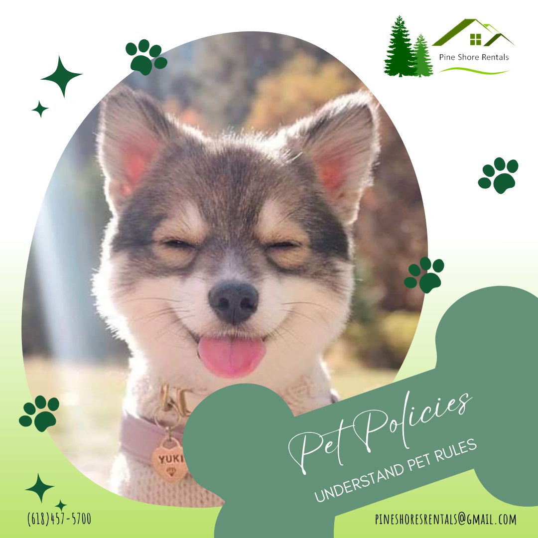 Pine Shores Rentals (@pineshorerental) on Twitter photo Understand pet rules to ensure a paw-sitive living experience for both you and your furry friend. 🐾
.
.
.
.
.
For inquiries you can call:
📞+1 618-457-5700
📧pineshorerentals@gmail.com
🌐 pineshoresrentals.com
#PetFriendlyLiving #FurFamily #LeaseWithPets Understand pet rules to ensure a paw-sitive living experience for both you and your furry friend. 🐾
.
.
.
.
.
For inquiries you can call:
📞+1 618-457-5700
📧pineshorerentals@gmail.com
🌐 pineshoresrentals.com
#PetFriendlyLiving #FurFamily #LeaseWithPets