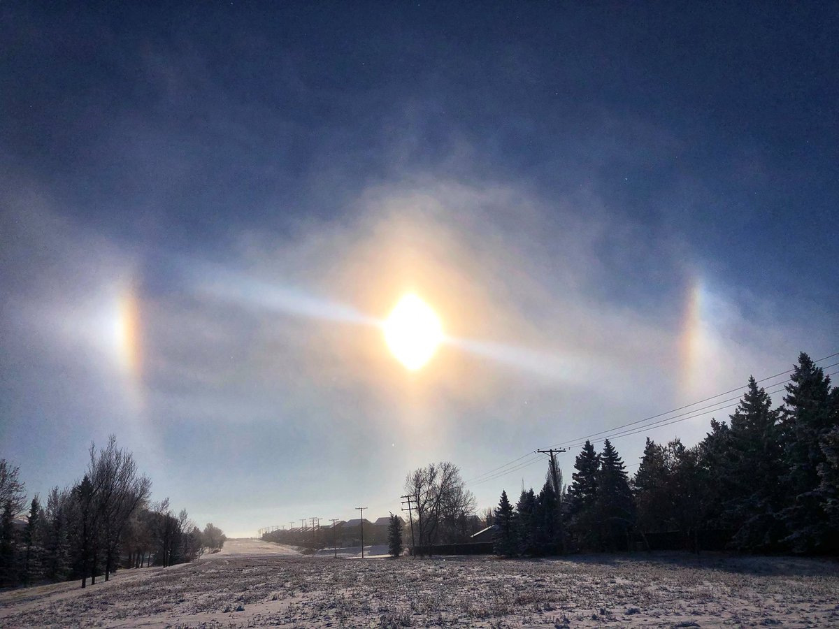 Chris Arden Haynes tweet media