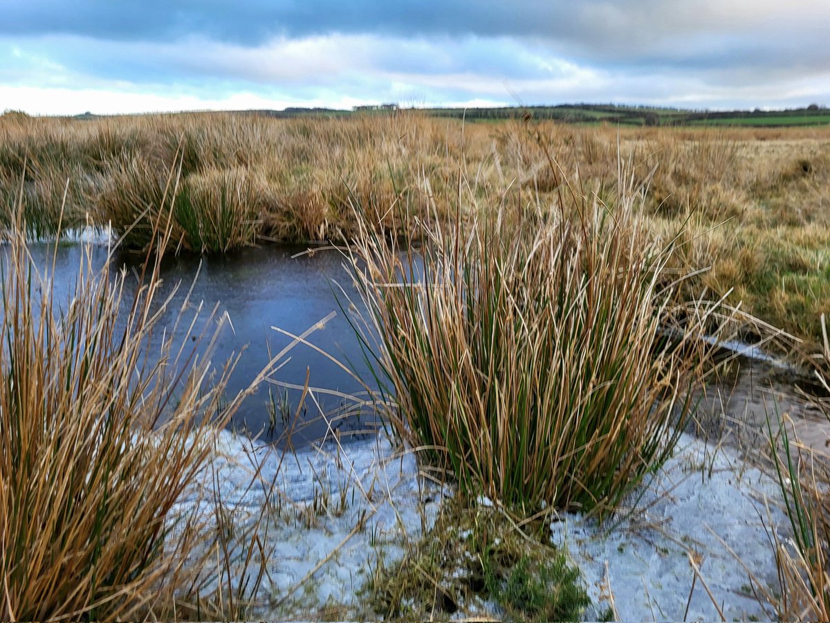 DanJamesENPA's tweet photo. A chilly start to the day on #Exmoor.
#CommutingViews https://t.co/PaQFNKswmm