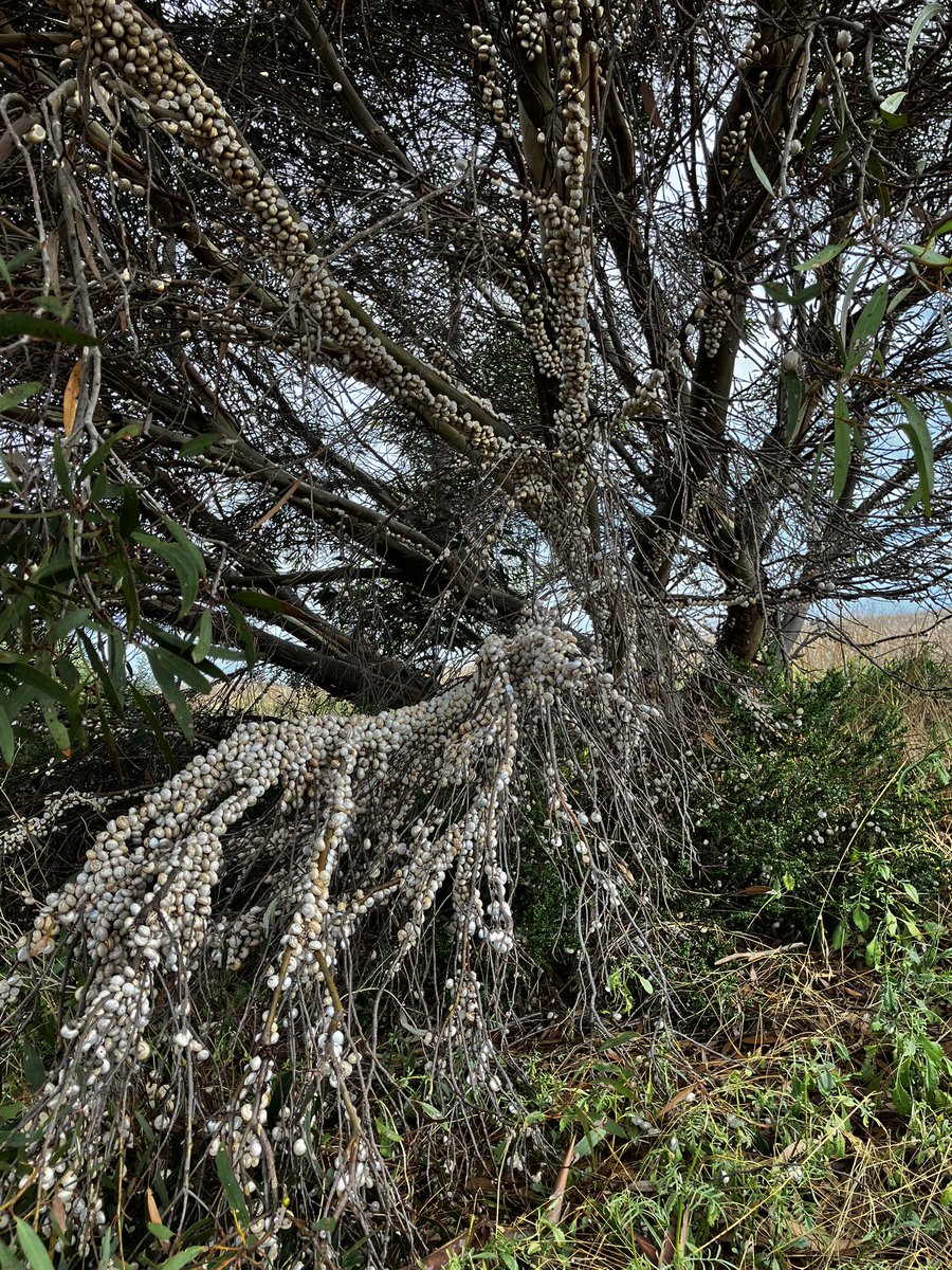 Arnold Bennett 🌾 tweet media