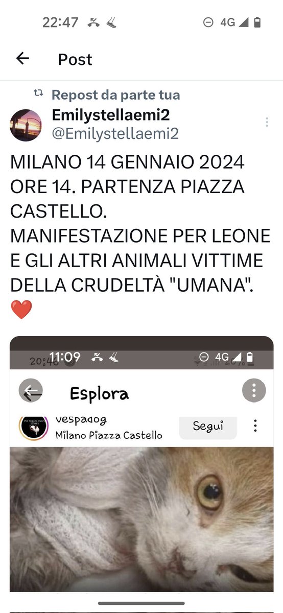 Emilystellaemi2's tweet photo. MILANO 14 GENNAIO 2024, PARTENZA DA PIAZZA CASTELLO ORE 14 MANIFESTAZIONE PER
LEONE E LEONE2 E GLI ALTRI ANIMALI VITTIME DELLA CRUDELTÀ "UMANA"♥️♥️♥️♥️♥️♥️ https://t.co/NMiSd7b7r1