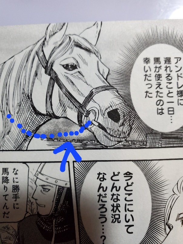 ぁ゙ぁ゙!3巻のこのシーン、手綱描き忘れとる!

購入した方は描き足してあげてください…✨ 