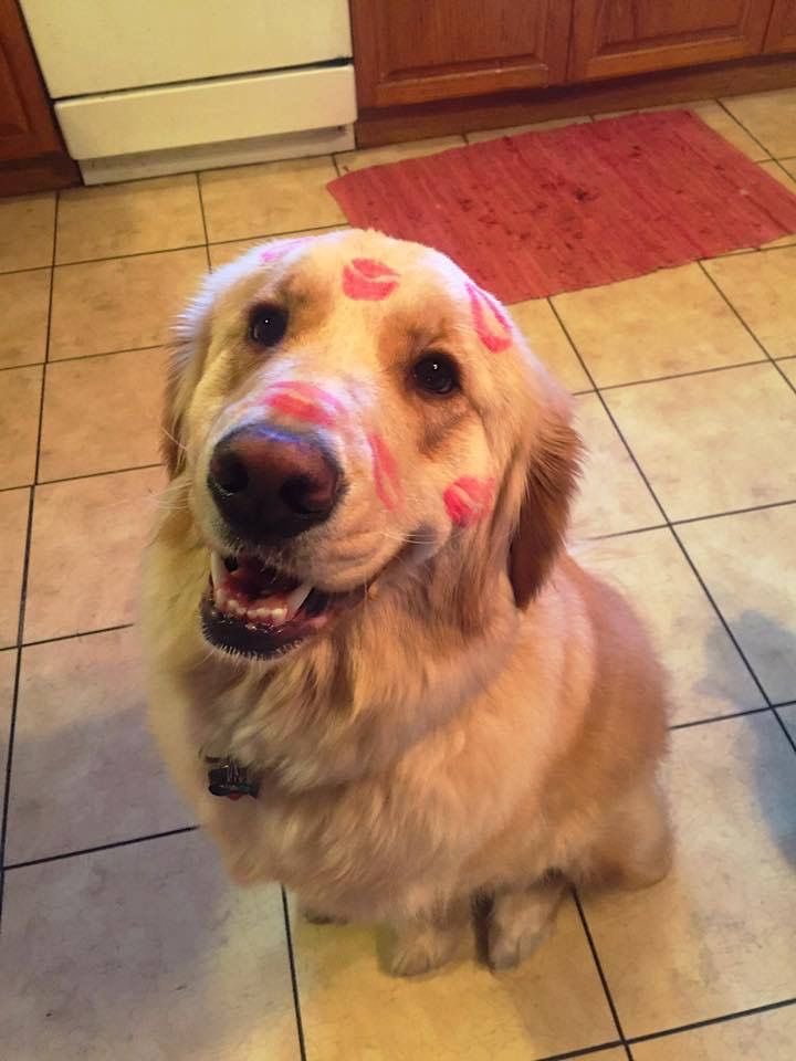 💖 (@twaniimals) on Twitter photo 