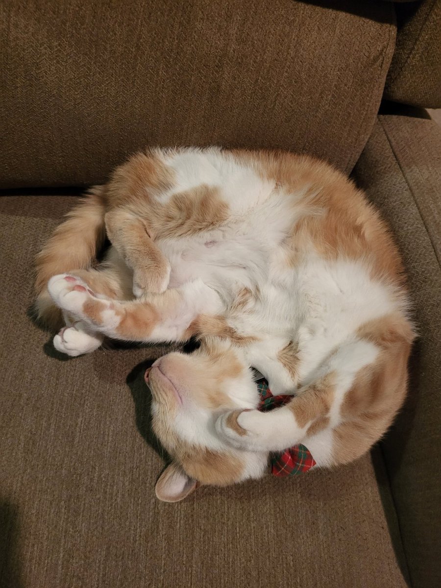 mom2milo tweet media