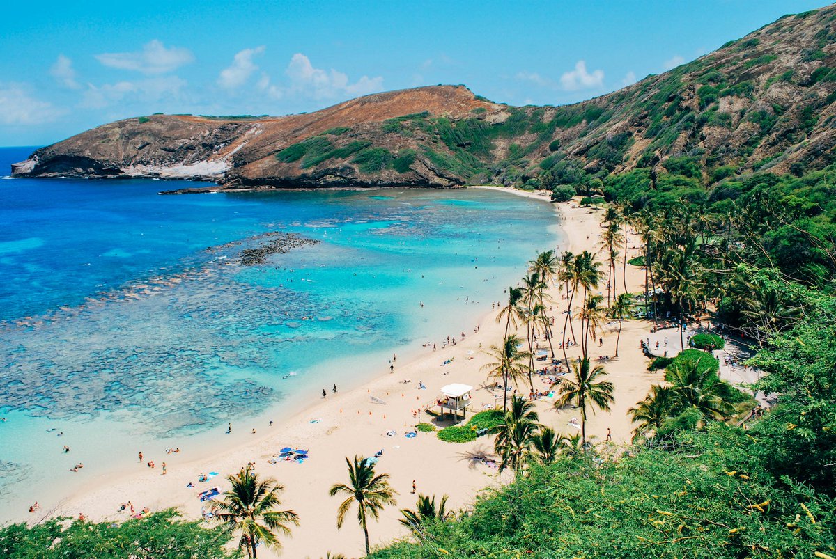 Skycheckin's tweet photo. Fly to Hawaii from multiple cities across the US starting at $199 https://t.co/3XY4DupzwF https://t.co/96UvscUsh1