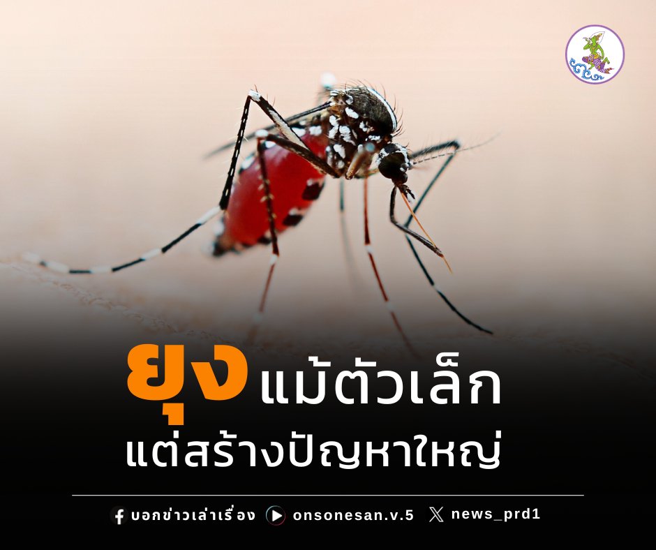 news_prd1's tweet photo. “ยุง” แม้จะตัวเล็ก แต่ก็สร้างปัญหาใหญ่ เพราะเป็นพาหะนำโรคร้ายทั้ง 3 โรค ได้แก่ โรคไข้เลือดออก โรคไข้ปวดข้อยุงลาย และโรคติดเชื้อไวรัสซิกา ที่พร้อมสร้างปัญหาให้กับสุขภาพเราทุกคน 

https://t.co/ijbxozRUdu

#เพจบอกข่าวเล่าเรื่อง #PRD1 #ยุงลาย https://t.co/7l5JE1J803