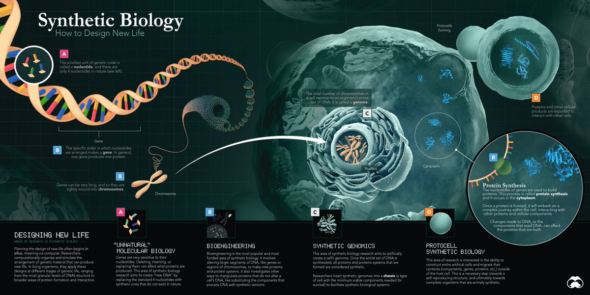 mark belan | science illustrator + info designer tweet media