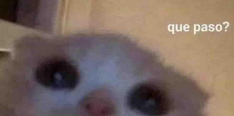 Guarromantico_'s tweet photo. *Alguien me llama*

Yo: *Corto*

Yo por mensaje: https://t.co/91y9J6s8cw