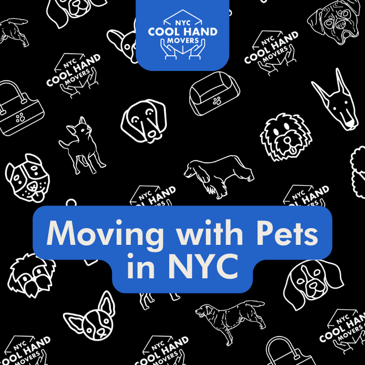 Moving with your furry friend? 🐾 Check out our top tips for a pet-friendly move! 🐕📦

l8r.it/Sc0K

#Pets #Moving #MovingGuide