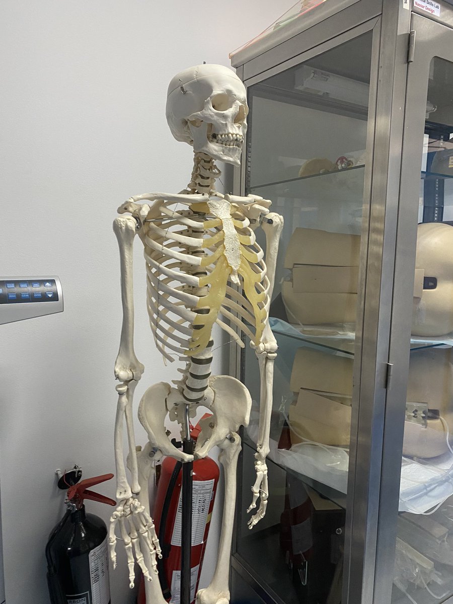 ᗯᗩᒍᗪ 👩‍⚕️ tweet media