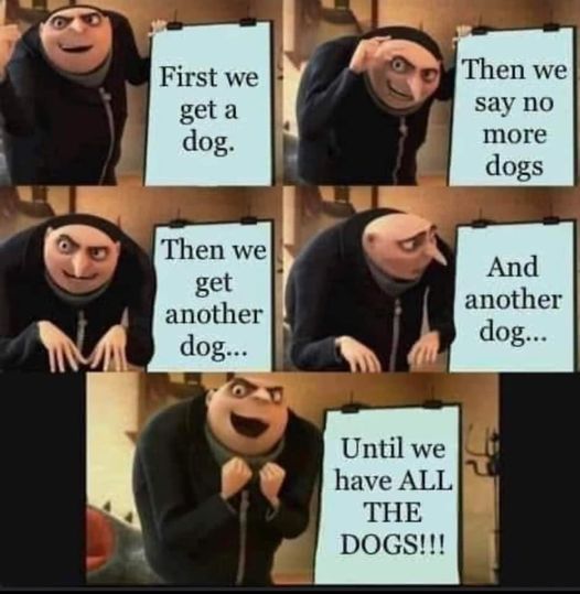 WholesomeMeme's tweet photo. https://t.co/Yjr5joQv1S