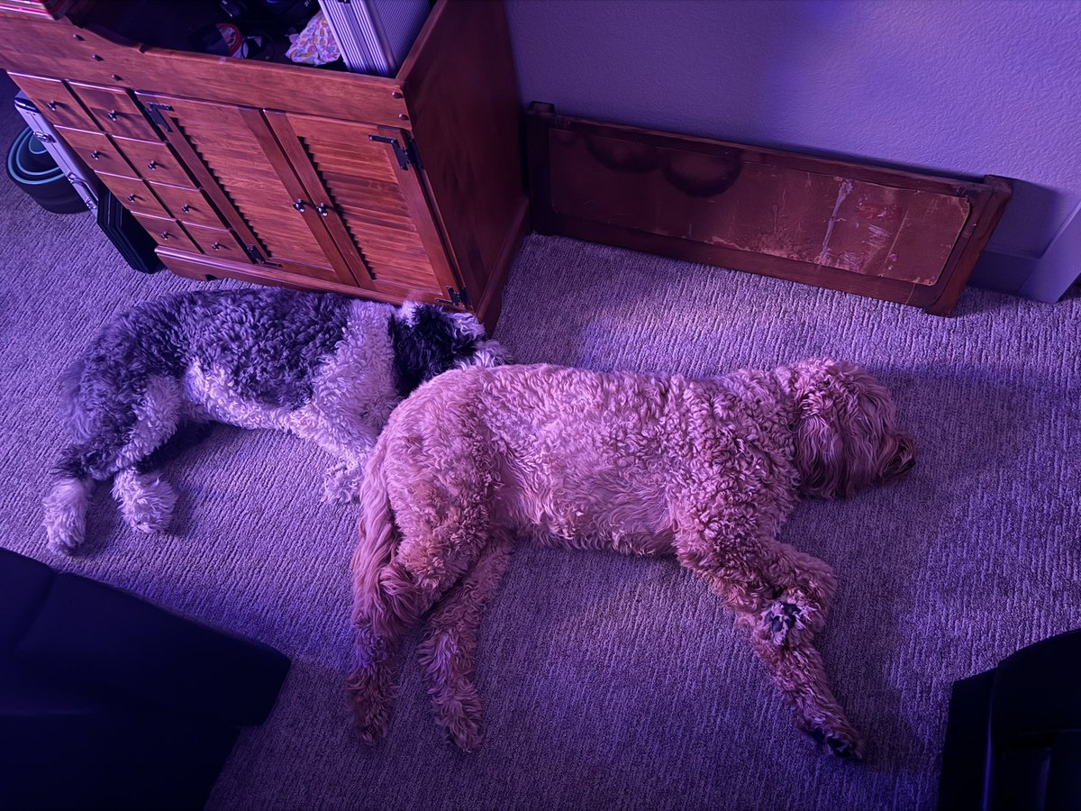 Rick Westfall tweet media