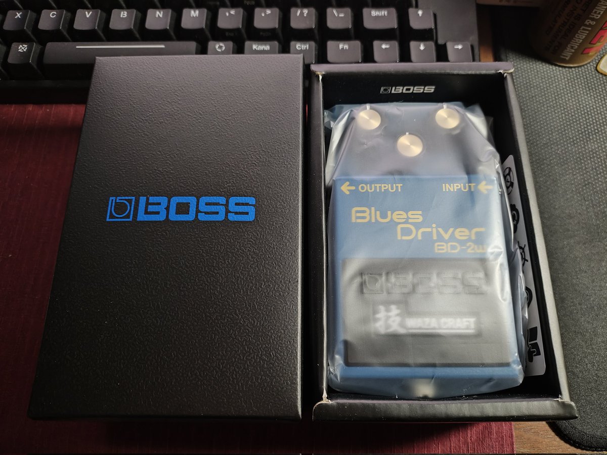 ふるさと納税のBD-2W届いたぜ
今年もエフェクター頼もうかな