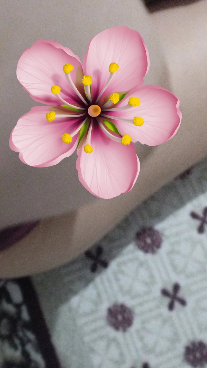 hot_lele69's tweet photo. uma novinha em busca de um mingau de aveia 🙈 #XOTASAWARDS #BUCETAAWARDS #BUNDAAWARDS #PINTOAWARDS #PEITOSAWARDS #TROCONUDSAWARDS #sendnuds #fuckme #novinha #ninfetinha #hotgirl mando sem emoji no pv 🤤 https://t.co/5Sa12HKOhS