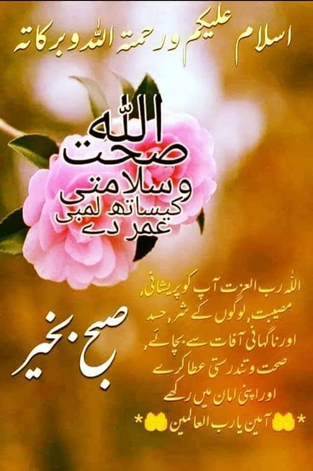 Aslam o alekum 
Good morning 🙏 🌄 🙏 🌄 
#BitcoinETF
#ريال_مدريد_اتلتيكو_مدريد
#ساڈا_بلا_بھاری_ہے
#HalaMadrid 
#wintervolliefde 
#ZaynMalik
