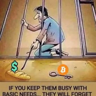 Mariana Negrete Jime tweet media