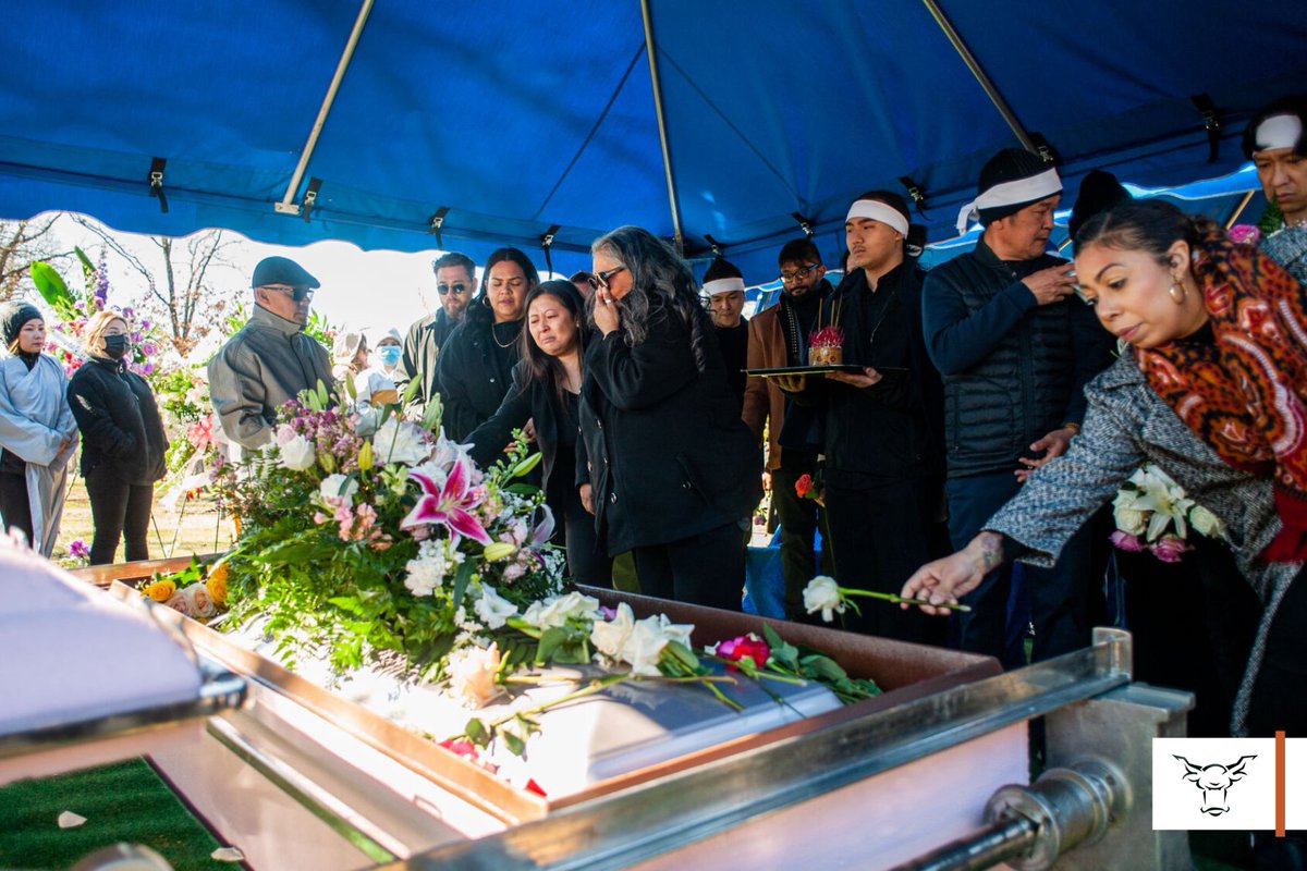 The Shorthorn tweet media