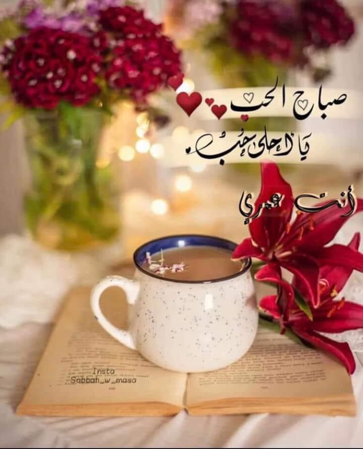 IsnYet's tweet photo. #صباح_الورد🌹
ماأجمل أن يأتيك الصباح بوجه من تحب وكأن الشمس #أشرقت مرتين .....😍💞
مرة في #عينيك فأبصرت ومرة في روحك فأضاءت ..
صباح #السعادة والهناء 💞🌹
روح❤️ https://t.co/HDh2x3yFxj