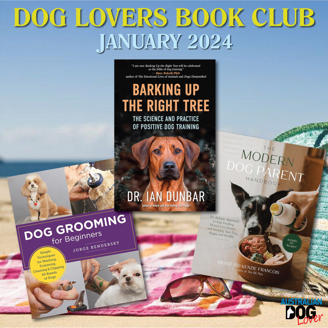 OzDogLover's tweet image. If one of your 2024 resolutions is to #readmore books, check out our January #DogLoversBookClub!

Learn about #positivedogtraining, K9 mental health, #rawfeeding, #doggrooming, lots of educational books for the young #doglovers AND 4 books to be won! 🎁

australiandoglover.com/2024/01/dog-lo…