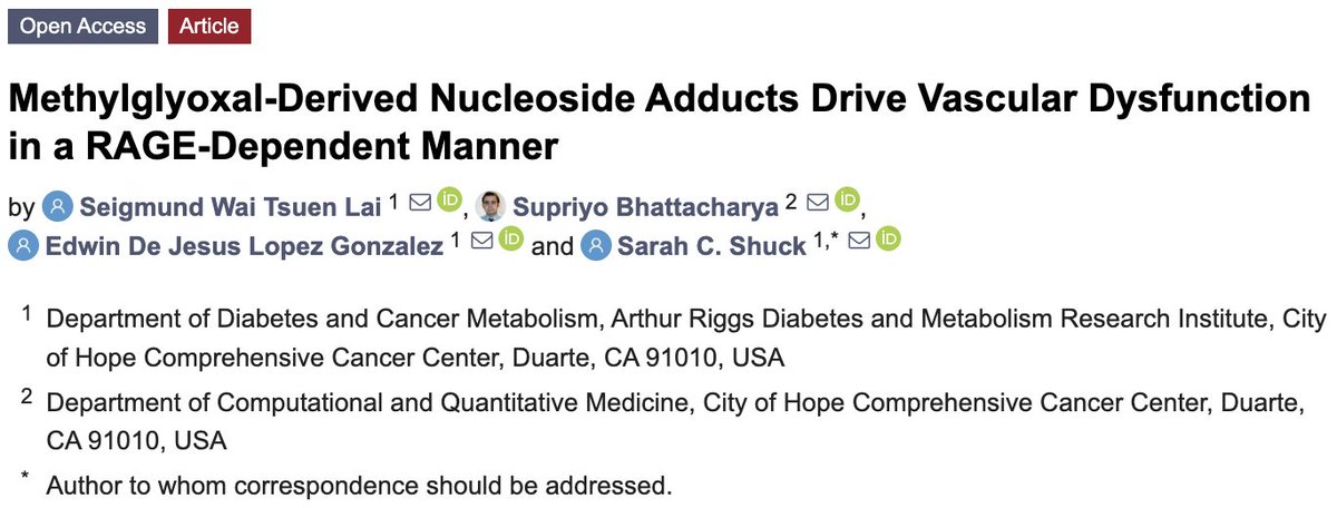 Seigmund Lai (@swtlai) on Twitter photo The second arm of my thesis has been published! 😃🙌 We previously reported nucleoside MG-adducts predict DKD ~16 yrs pre-diagnosis. Here, we find that MG-adducts drive vascular dysfunction, a precursor to many complications, by activating RAGE <a href="/sshuck55/">Sarah Shuck</a> 🔗doi.org/10.3390/antiox… The second arm of my thesis has been published! 😃🙌 We previously reported nucleoside MG-adducts predict DKD ~16 yrs pre-diagnosis. Here, we find that MG-adducts drive vascular dysfunction, a precursor to many complications, by activating RAGE <a href="/sshuck55/">Sarah Shuck</a> 🔗doi.org/10.3390/antiox…