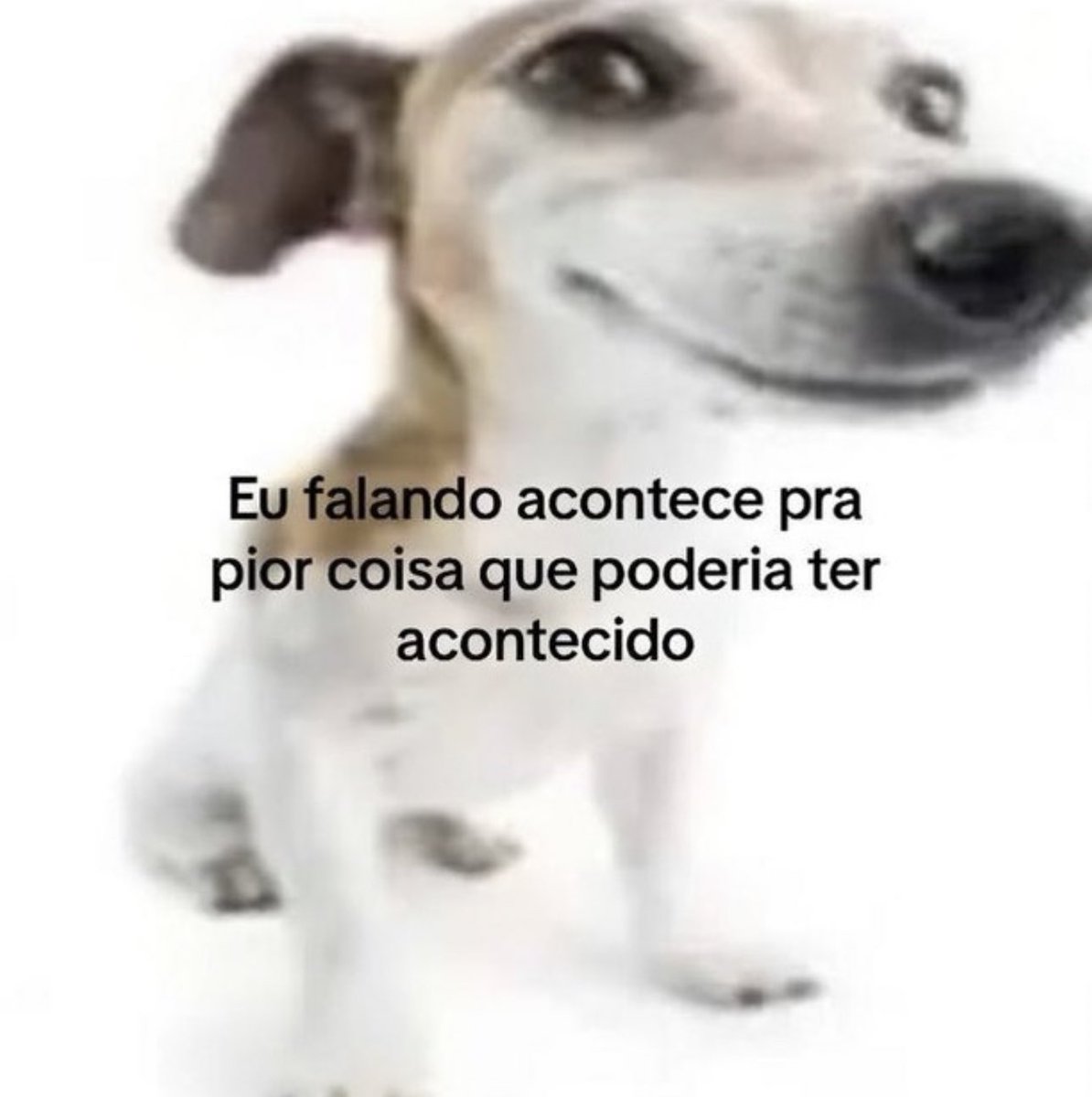 shitpostverdade's tweet photo. https://t.co/4VilxhEjSO