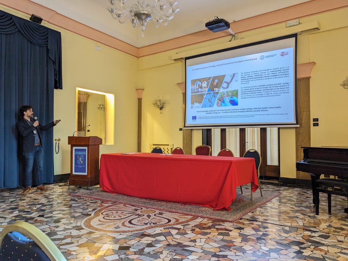 GaborKemenesi's tweet photo. Very nice KOM for #OneBat @HorizonEU project in Padova and great to have a chance to meet with our friends from🇬🇧 @ViralPseudotype and 🇺🇸 Muhlberger Lab @AdamJHume During the 3 years we will contribute to better understand bat viruses and their emergence with this great team https://t.co/6gcPmlV1eX