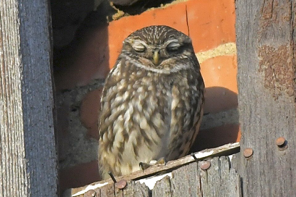 David Rouse 🍃💚🍃 tweet media