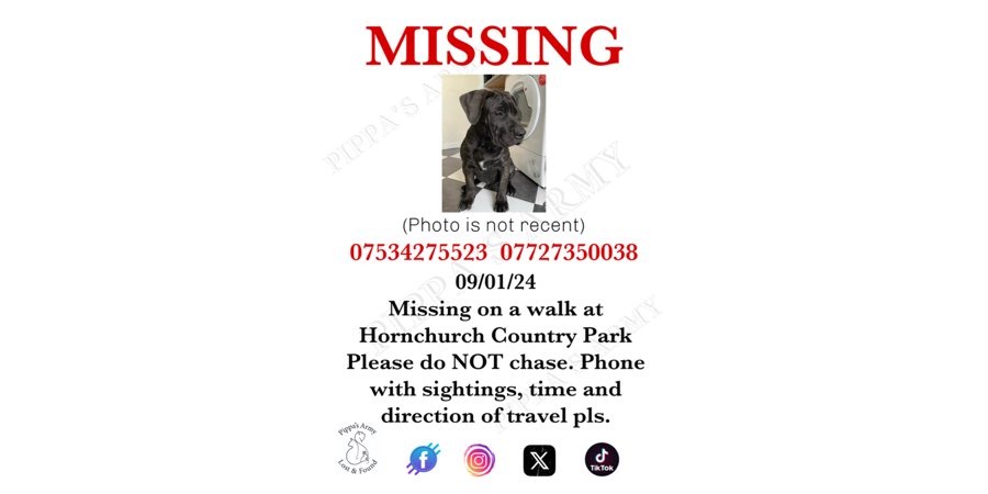 Pippa's Army (@pippasarmy) on Twitter photo Sightings needed URGENTLY pls. Nervous dog, do NOT chase.
<a href="/HaveringDaily/">The Havering Daily</a> <a href="/SAMPAuk_/">Stolen&Missing Pets</a> <a href="/MissingPetsGB/">Missing Pets GB</a> <a href="/Lorrain90964806/">Lost pets missing and stolen</a> <a href="/missing_pets1/">Missing_Pets1</a> <a href="/HornchurchLife/">Hornchurch Life</a> <a href="/LostDogAlertUK/">LostDogAlertUK</a> <a href="/DogLostUK/">DogLost</a> Sightings needed URGENTLY pls. Nervous dog, do NOT chase.
<a href="/HaveringDaily/">The Havering Daily</a> <a href="/SAMPAuk_/">Stolen&Missing Pets</a> <a href="/MissingPetsGB/">Missing Pets GB</a> <a href="/Lorrain90964806/">Lost pets missing and stolen</a> <a href="/missing_pets1/">Missing_Pets1</a> <a href="/HornchurchLife/">Hornchurch Life</a> <a href="/LostDogAlertUK/">LostDogAlertUK</a> <a href="/DogLostUK/">DogLost</a>