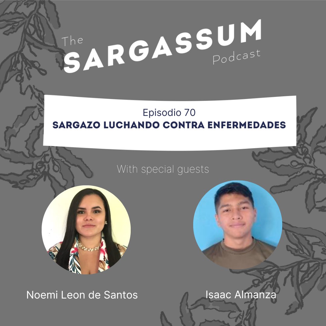 Sargassum Podcast Ep 70: Sargazo luchando contra enfermedades

Youtube: youtu.be/YN0yhEd3wp8

Anchor: podcasters.spotify.com/pod/show/sarga…

#Sargassum #Sargazo #Sargasso 
#Sargassumpodcast #podcast 

<a href="/RESEMBID2023/">RESEMBID</a>