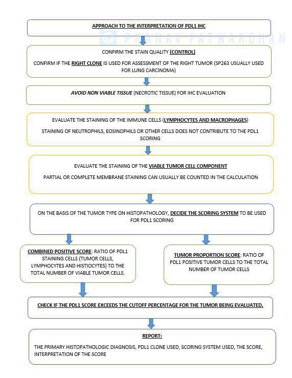pranavp01's tweet image. Basics of IHC Evaluation: Don’t forget to look at the control; confirm the stain being positive in the lesional cells in the component you expect it to be (nucleus/cytoplasm etc.); comment on the intensity, distribution. For PD-L1: clone, scoring (TPS/CPS)! #PathEd