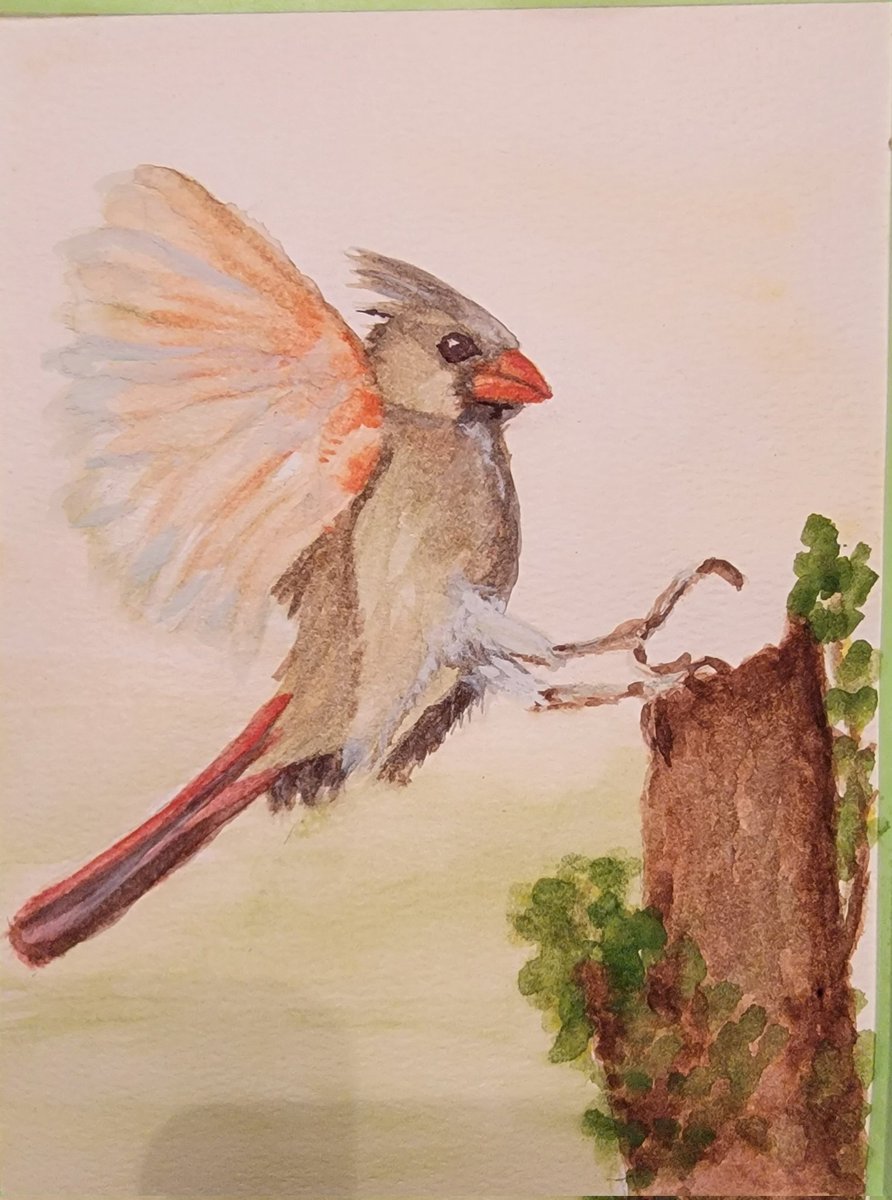 dame_ladygrey's tweet image. My latest #watercolorpainting #wildlife #femalecardinal