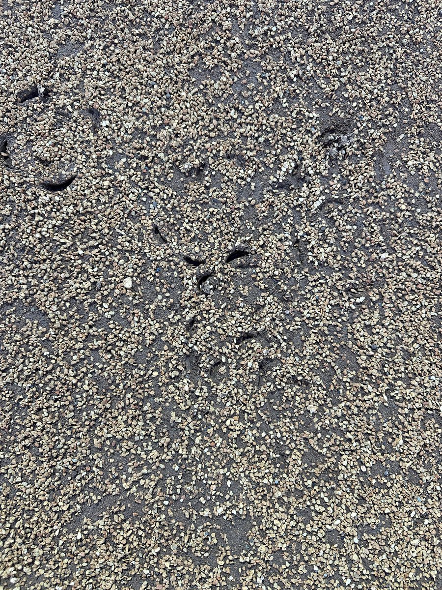 The product speaks for itself <a href="/DuraEdge/">DuraEdge Products</a> 
Cleat in, cleat out.