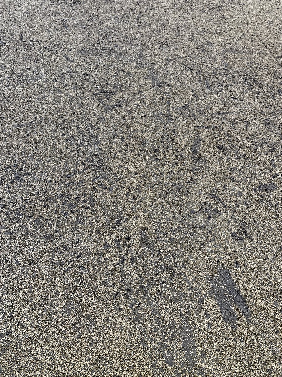 BJ Thomas tweet media