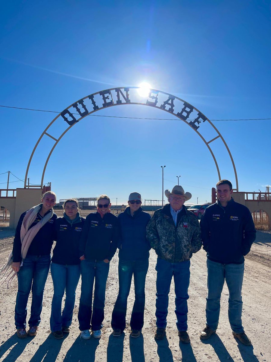 ausmeatjudging's tweet photo. Day 5 on tour 🇺🇸
Quien Sabe feedyard, Texas.
They have a 65,000 head capacity facility, feeding 60% dairy beef cattle (Holstein x Limousin) and 40% local or Mexican cattle (low bos indicus cross) Then West Texas A&M for pork and lamb training
#icmj #icmjustour #meatjudging https://t.co/wSuWFDG5eW