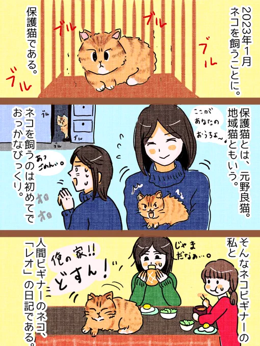 実録「保護猫のレオ君」
今飼って一年になりますが
幸せです✨👍

保護猫飼ったら
家族が幸せになった😀

#実録#保護猫#コミックエッセイ
#漫画が読めるハッシュタグ 