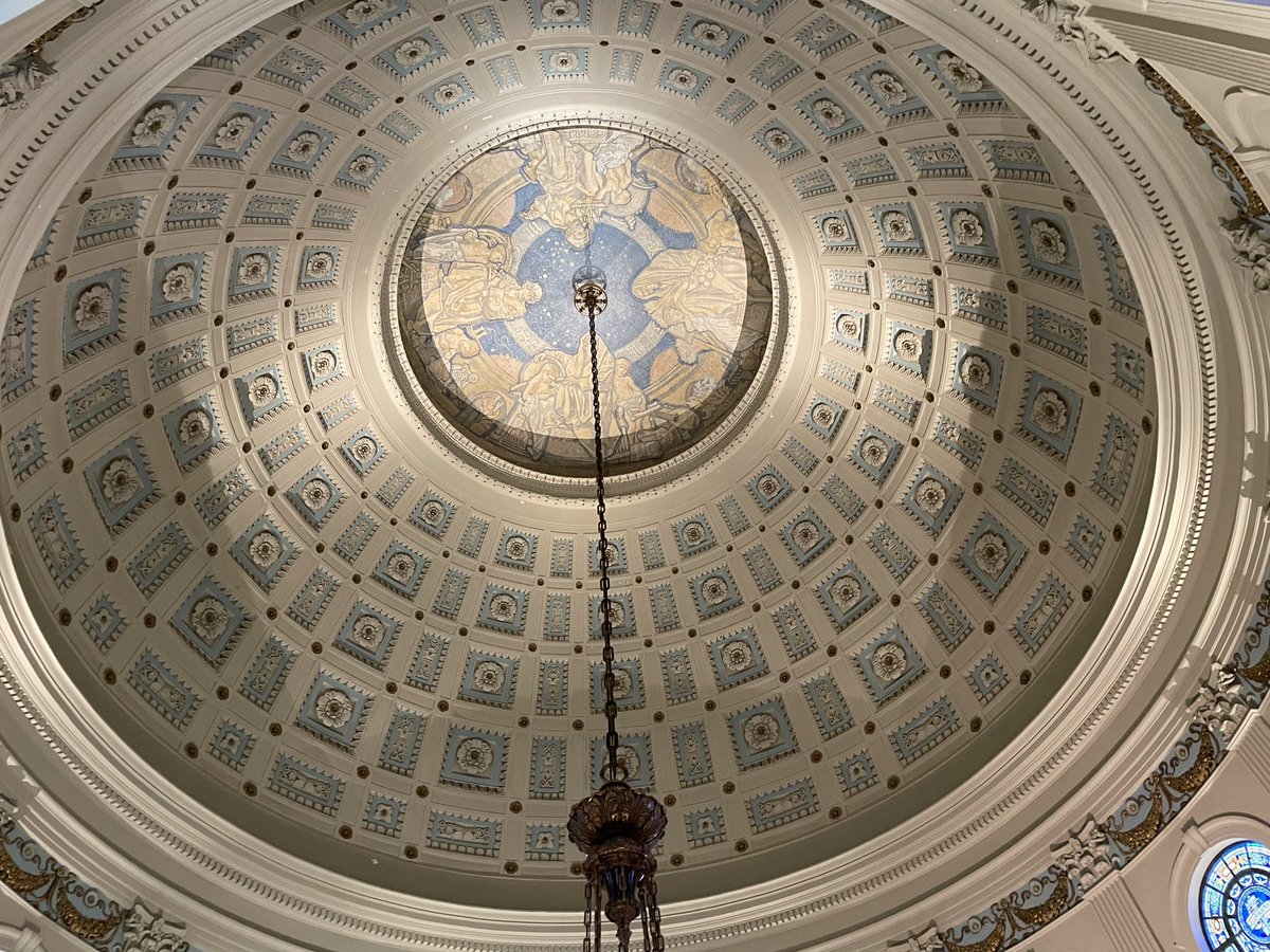 Vanessa Carroll tweet media