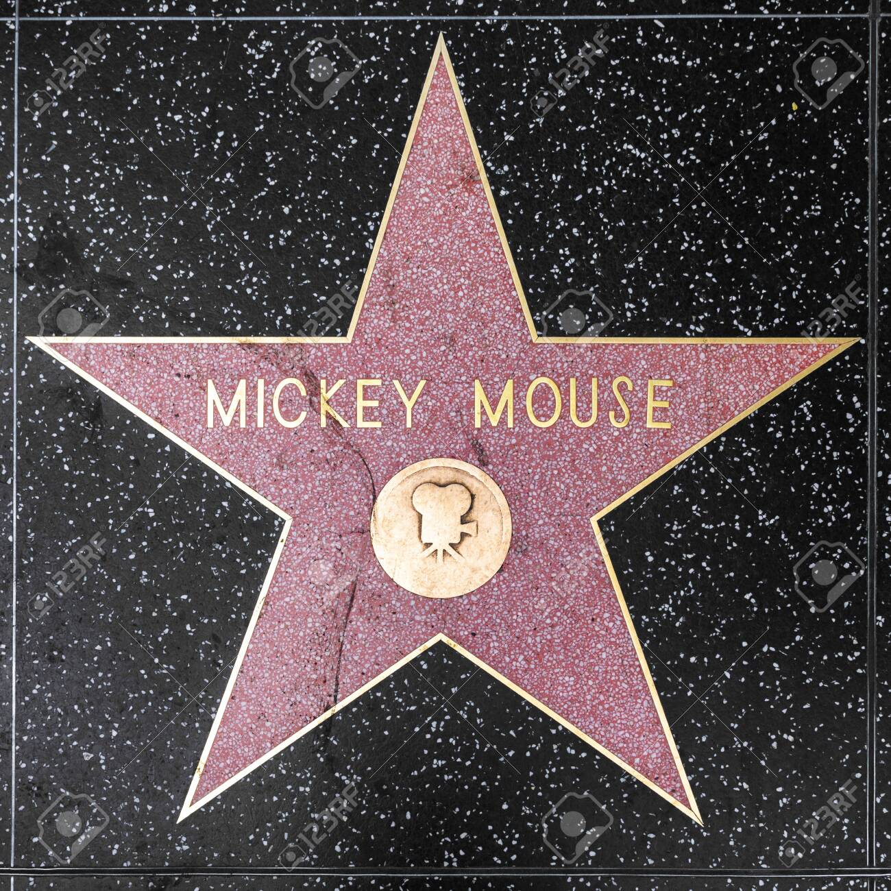 【唯一無二】ジョニー・デップ　ウォーク・オブ・フェイムアート作品 唯一無二】ジョニー・デップ ウォーク・オブ・フェイムアート