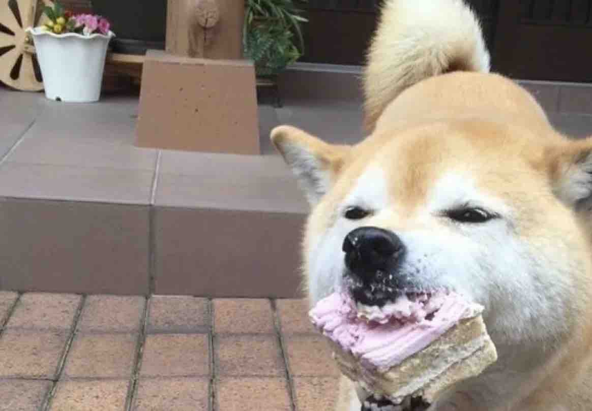 Guarromantico_'s tweet photo. Yo: Tengo que comer más sano.

Yo cada vez que tengo los más pequeños síntomas de estrés: https://t.co/BSEKGyKAv7