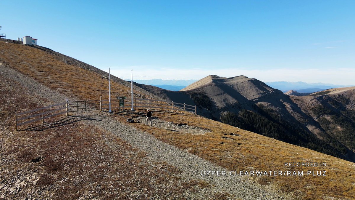 EricTAdventures's tweet photo. Once you reach the ridge, you can hike above the treeline for a long ways at Ram Mountain
#dtcountry #hikealberta #ramfallspp #ramfirelookout #northforkrd #rammountain #northfork #albertasheep #rockymountainhouse #clearwatercounty #travelalberta #albertatravel #explorealberta https://t.co/KadwWiDec3