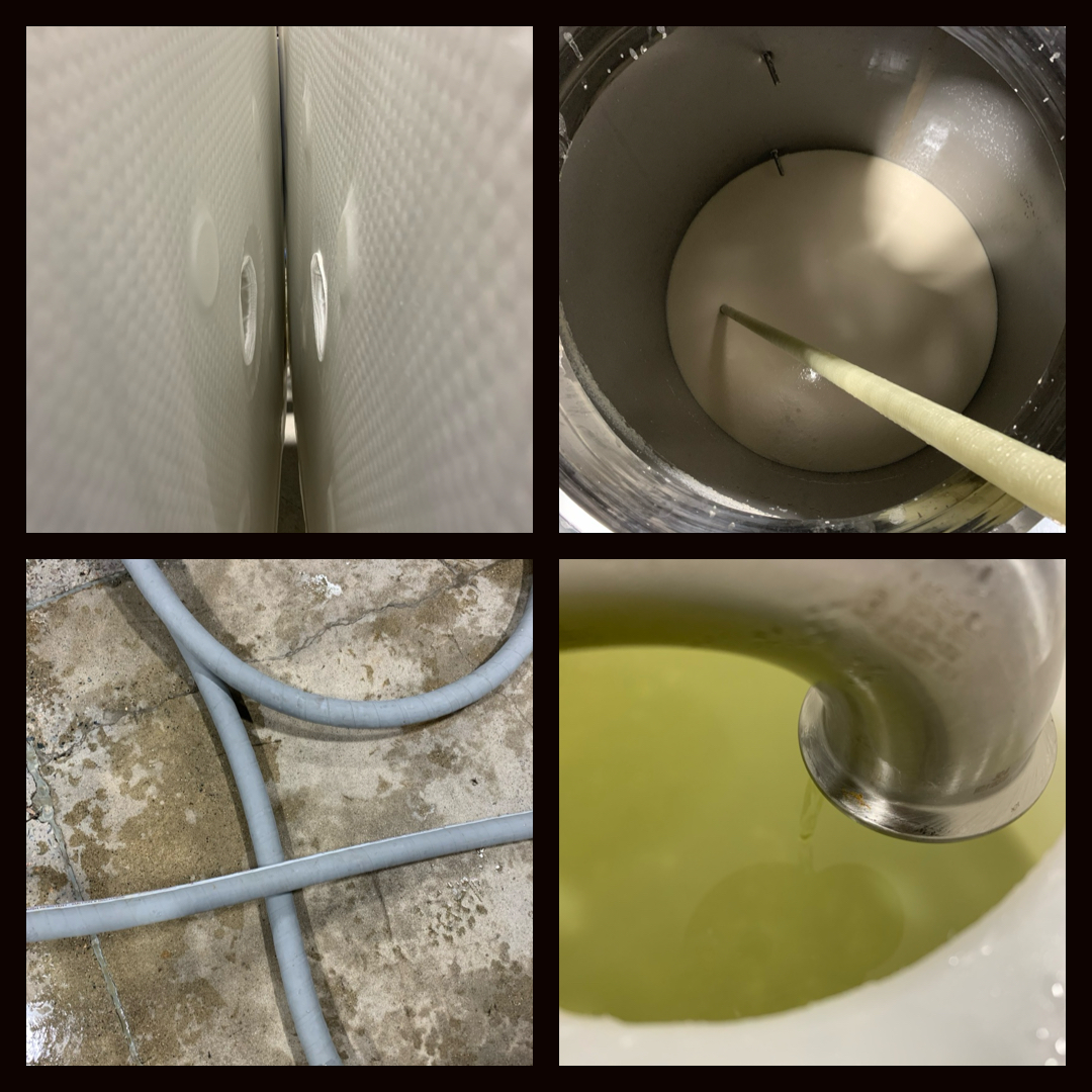 farthestsake's tweet photo. #whatintheworld! Can you guess what we're doing?
Pressing!
TL: #filterpress plates
TR: #moromi in the fermentation tank
BL: #brewing hose moves moromi to the press
BR: freshly pressed #sake flowing into the grant
#sakebrewing #saketime #sakebrewery #newenglandsake https://t.co/FvwGcDXG66
