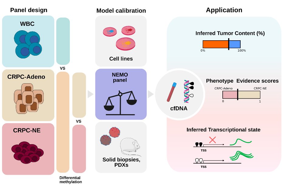 Noninvasive detection of NEPC by targeted cfDNA methylation @CD_AACR co-led by @FrancescaBZNY and her lab @UniTrento. Congrats to first author @GMFranceschini and thank you to many amazing collaborators @PCF_Science @DanaFarber_GU #NEMO aacrjournals.org/cancerdiscover…