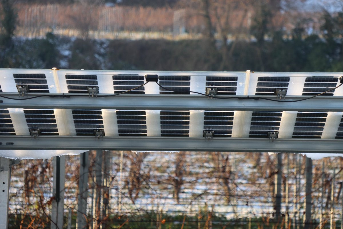 sbamueller's tweet photo. Langsam schmilzt die Sonne den Schnee von der #VinoPV Anlage in #Freiburg #Munzingen.
Mein #Winterbild.
📸 #CanonEosM6ii
#AgriPV #WeinBerge #weinreben #Weinbau https://t.co/tFJEH80GOB