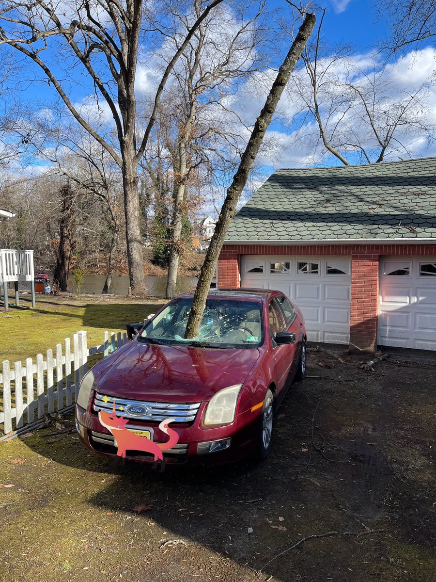 Caught on film… the elusive unicorn car in my neighbors driveway.