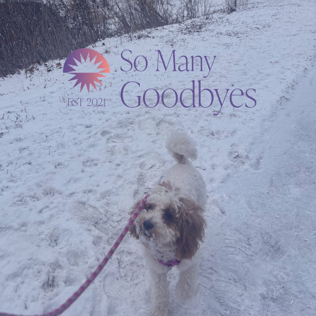 SoManyGoodbyes's tweet photo. I’m a big believer in the benefits of fresh air and exercise.
Especially if you have a loved one living with #Alzheimers or other #dementia.
My dad needed his daily walks during our family's journey, and this article helps explain why:
https://t.co/klxB8yGkUb
#caregivers #ENDALZ https://t.co/ZlBKOnlkoA